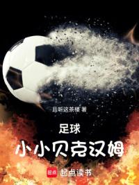 足球：小小贝克汉姆